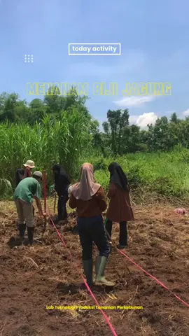Tanam Tanam Jagung ✊ #fyp, #foryourpage, #fypchallenge, #fypindonesia, #bestvideo.#unej #perkebunan 