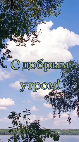 #сдобрымутром #2024 #доброеутро #свежее #пожелания #новинки #свежие 