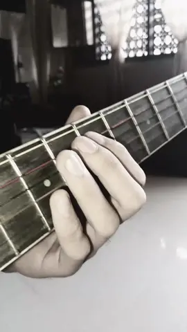 The reason of papaya 🤔😅 #fingerstyle #thereason #guitartok #fypシ 