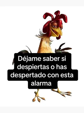 #fraces #pepeelpollo #foryou #video #despertador #gallo #fypage #paratii #viral #bobmarley 