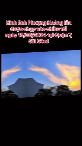 #thientuankiet #thienlongson #chuatailam #king #phatphapnhiemmau #ngotuankiet #vietnam 