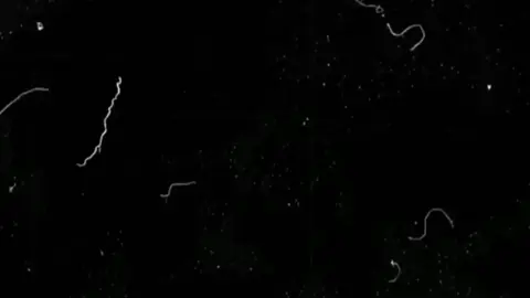 মানুষ আসবে, মানুষ যাবে যার থাকার সে ঠিকই থেকে যাবে