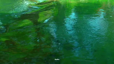 Mình cùng chạy trốn âm thanh xô bồ #sayyes #ogenus #pialinh #guhu #xuhuong #fypシ 