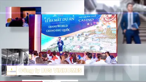 #porfolio #pro5 #nguoidanchuongtrinh #mc #HoangHieu 