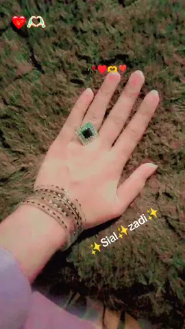 #สปีดสโลว์ #สโลว์สมูท #CapCut  #fupシ #foryou #fupage  #trendingvideo #trendingeffect  #unfrezzmyaccount🥀supportme  #followlikecommentshare🥰 