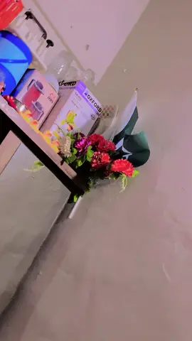 Dsaaaa🫢#foryourpage #ayesha_shahzadi_01 