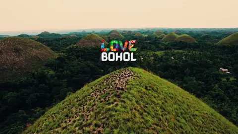 Behold Bohol 🍫⛰️🐒 Experience the charm of Bohol: stunning landscapes, rich culture, and endless adventures! Check out great deals and book your next trip⬇️⬇️⬇️ 1. Klook: https://klook.tp.st/hQeZWppD + additional 3-5% discount when you use my Klook promocode: WWAFFERKLOOK 2. Trip(dot)com: https://trip.tp.st/bftK4XI4 3. Agoda: https://agoda.tp.st/2gv7LuV4 #bohol #chocolatehills #lobocrivercruise #panglao #manmadeforest #henannpremiercoast #philippines #travelph #beholdbohol #visitbohol #lovethephilippines #foryou #fyp 