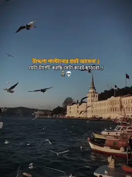 💀🗿🥂#sigma #realsigma #rumanhowlader31 #rumanhowlader805 #rsfahimchowdhury #foryou #new_treding #foryoupage #@TikTok Bangladesh 