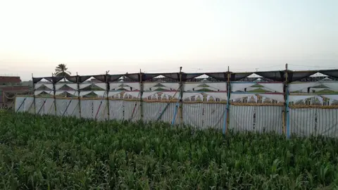 شركة المصطفي للحفلات الكبرى 👍  منوف المنوفيه  عموم للجمهوريه 🇾🇪  م/شعبان مدكور وأخواته ✊