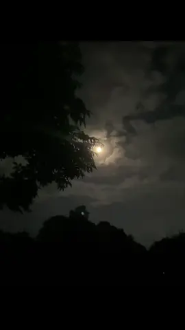 আমাদের কিছুই নেই, অথচ সবটা সময়জুরে ভাবি তুমি আমারই..!❤️‍🩹🥀#fyp #foryou #foryoupage #moon #night #view #cxfharafat #fuadhasanarafat #tiktok #bangladesh 