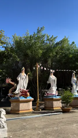 A di đà Phật #binhannhe☘️ #binhan 