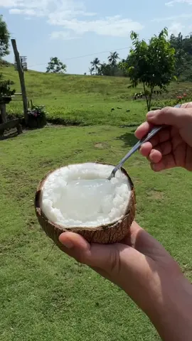 Cocos nucifera L. ' makapuno' Macapuno or coconut sport is a naturally occurring coconut cultivar which has an abnormal development of the endosperm. The result of this abnormal development is a soft translucent jelly-like flesh that fills almost the entire central cavity of coconut seeds, with little to no coconut water. https://en.m.wikipedia.org/wiki/Macapuno