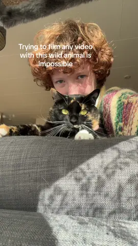 She’s the readon many of my shirts have holes in them😞 #cat #fyp #gay 
