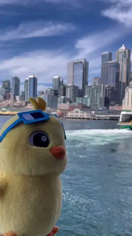 #meetquack #meetquackplushie #plushielife #plushieoftiktok #plushie #couplegoals #couplestiktok @meetquack ™ 
