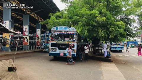 ❤️😻උතුරට පියමනින යක්කු ටිකක් එකම වීඩියෝ එකකින්.