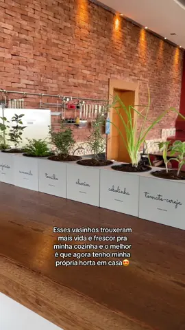 Essa hortinha trouxe vida pra minha cozinha, as receitas agora são mil vezes mais saudáveis! 🌱💚 #hortaemcasa #foryou #foryoupage #casa #plantas 