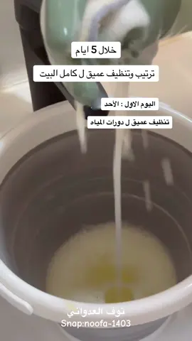 شاركيني كلها 5 ايام وتكونين انجزتي وسويتي الكثير واخر الاسبوع بتدعين لي 💪🏻🌹 #اكسبلورexplore #اكسبلور_فولو #ترندات_تيك_توك #tiktok #اكسبلوررر #اكسبلورر 