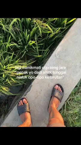 penak, penak seng maido #fyp #storyjowo #wonogiri24jam 