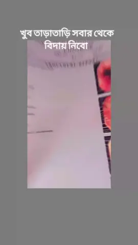 😭😭😭😭😭😭😭