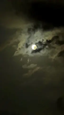 Khpla spogami paki mention kai zmong yaran khu tol westindies wala de 🤭 #fullmoon #moonlover #spogmai #moon 
