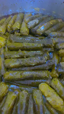 استوى اليبرق#يبرق_حلبي #استوى_الورق #اكسبلورexplore #tiktok 