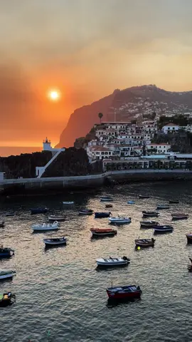 🌊 Explore the enchanting streets and seaside views that captured the heart of Winston Churchill himself in 1950.  Immerse yourself in the rich culture and history of Madeira as you wander through vineyards, savor local delicacies, and embrace the timeless charm of this gem of a town.  📍Location: Câmara de Lobos, Madeira, Portugal 🇵🇹  Planning your trip to Madeira? 👉🏻 on my interactive guide & Madeira map 🗺️ you’ll find much more incredible and unique places 🔗 link in bio 🌍 #camaradelobos #Madeira #OceanEscape #TravelGoals #ExploreMadeira #SeasideRetreat #madeiraaccomodation #VacationVibes #CultureTrip #VisitMadeira #IslandLife #CharmingVillage #BucketListAdventures #UnforgettableExperiences 