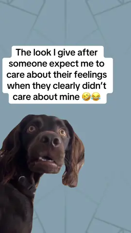 #CapCut #MemeCut #Meme #🤣😂🤣😂 #lmao #tiredofpeople #hurtfeelings #karma #bol 