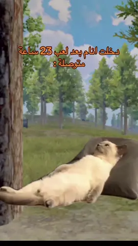 #MemeCut #Meme #MemeCut ##ببجي_موبايل #PUBGMOBILE #مواهب_ببجي_موبايل_العربية 