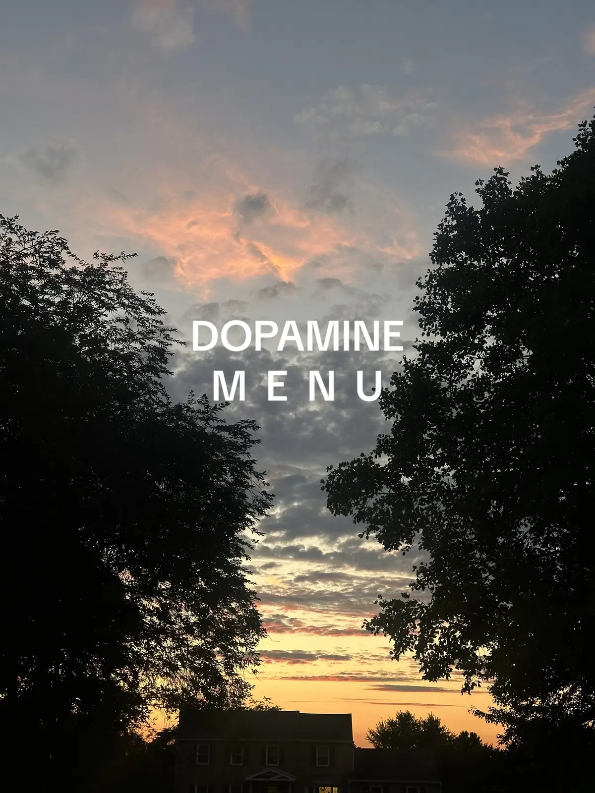 #dopamine #menu #trend #fyp 