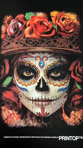 Serigrafiando con tintas plastisoles PRINTOP un diseño con separación de colores en semitonos