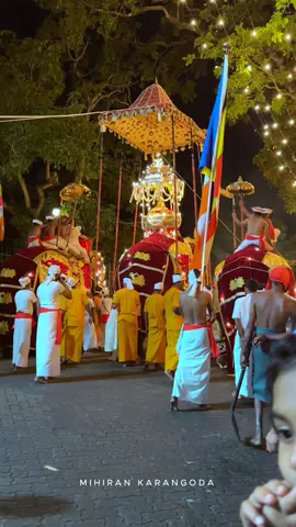 ඓතිහාසික කන්ද උඩරට ඇසළ පෙරහැර මංගල්‍යය | 2024. The procession itself is a vibrant blend of religious reverence and cultural pageantry, featuring elaborately adorned elephants, traditional dancers, and the sacred relic paraded through the city streets. 📍Kandy, Sri Lanka 📸 @mihiran / @Foclo   🎶 ayodhya Karunarathne #srilanka #visitsrilanka #srilankatravel #lka #reelsvideo #tiktokvideo  #kandy #kandyperahera #traditional #traditionalart #traveldestination #condenasttraveller #trendingreels #lka #daladamaligawa #kandysrilanka 
