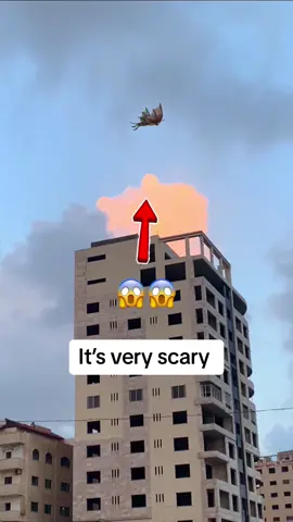 سبحان الله طائر ضخم في سماء غزة 😱🇵🇸#كابتن_ميوز 