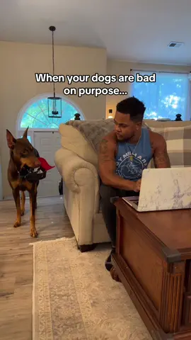 They’re two types of BAD! 😂 