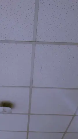 BEST DANCER EVER MY KEUN🐥🖤 @FELIP 