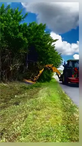 The dense bush needs more powerful engines#cleaninghacks #foryou #fyp #clean #cleaning #treehouse #clrcleaner #rugwashing #asmr #carpetcleaning #cleanhouse
