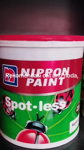 Nippon Paint spotless #cattembok #catantinoda #spotless 