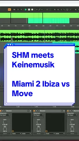 Swedish House Mafia meets Keinemusik Miami 2 Ibiza vs Move  #swedishhousemafia #dj #mashup #afrohousemusic #techhouse #keinemusik #ibiza #edm #fyp #xyzabc