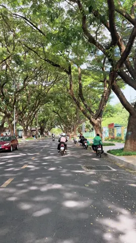 Mùa thu Buôn Ma Thuột 🥰