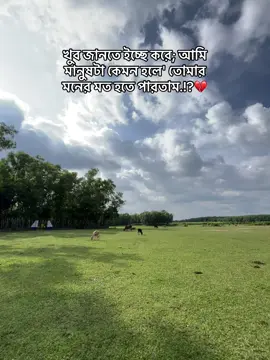 খুব জানতে ইচ্ছে করে; আমি মানুষটা কেমন হলে' তোমার মনের মত হতে পারতাম.!?💔🥰🌿#fypシ #vairaltiktok #tiktokpage #nsnazmul13 #bangladesh #sadstory 