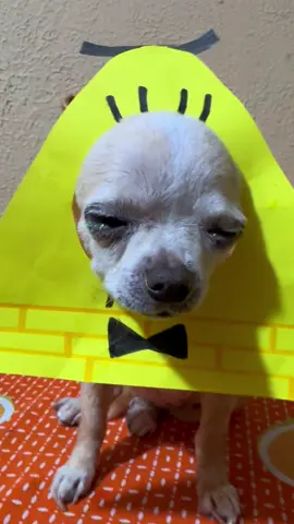 YO TE VERE🗣️‼️‼️‼️‼️#vill#grafityfalls #vill#dog#perrin