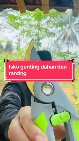 Isku gunting dahan dan ranting #guntingdahan #guntungranting 