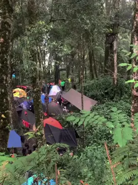 kn punya kamu soklat #pendaki #pendakiindonesia #pendakigunung #burnitelong 