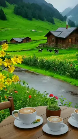 Good morning 🌞☕ #morningroutine #spring #flowers #garden #Home #house #cosy #coffee #coffetime #fresh #relaxing #therapy #gardening #trend #trending #tiktokviral #tiktok_india #fy #fyp #fypage #fyppppppppppppppppppppppp #fypdongggggggg #shorts #edit #explore 