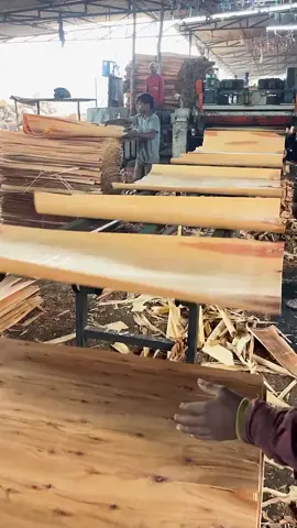 How are Ply Paper made inside the factory #plypaper #ply #paper #made #inside #factory #process #amazing #foryoupage #foryou #fyp 