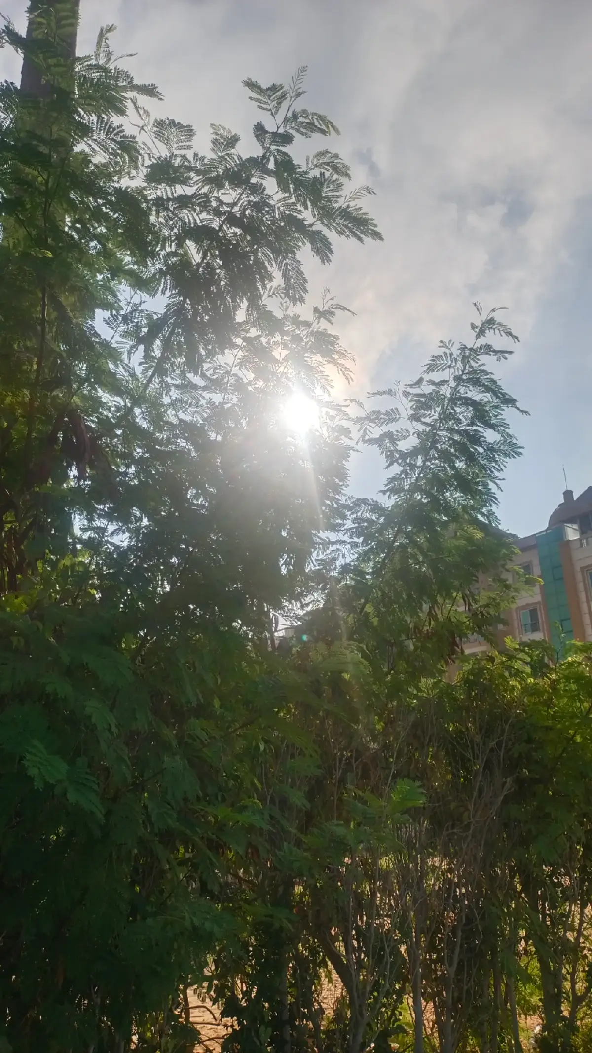 #وتوكل_على_العزيز_الرحيم #وتوكل_على_العزيز_الرحيم❤ #يارب  #هزاع_البلوشي #لعلها_تشفع_لي_و_لكم #صباح_الخير #صباحكم_أحلى_صباح #صباحكم_معطر_بذكر_الله#تلاوه #تلاوه_خاشعه #تلاوه_خاشعه_وراحه_نفسيه #تلاوه_تريح_النفس #تلاوه_تريح_النفس❤ #خشوع_وتدبر #خشوع_طمأنينه_راحه_للقلب #خشوع_وهدوء_وجمال_القران  #oops_alhamdulelah  #اسمع_القران_الكريم_راحة_للقلب❤️ #محمود_خليل_الحصرى #البنا #محمود_على_البنا #الحصري #عبدالباسط_عبدالصمد #المنشاوى  #ولقد_نعلم_أنكَ_يضيق_صدركَ_بما_يقولون #سوره_الحجر #قران #قران_كريم #قران_كريم_ارح_سمعك_وقلبك #قران_صلي_علي_النبي #ايات #ايات_قرآنية #ايات_من_القران_الكريم #ايات_قرانيه_تريح_القلب #ايات_قرانيه #القران #القران_الكريم #القران_الكريم_راحه_نفسية😍🕋 #القران_راحة_نفسية #القرانالكريم #القران_الكريم_راحة_نفسية😍🕋 #القران_الكريم_راحه_نفسية #oops_alhamdulelah #الحمدلله_دائماً_وابداً #الحمدالله_علی_کل_حال❤ #استغفرالله #لا_اله_الا_الله #لا_حول_ولا_قوة_الا_بالله #ان_لله_وان_اليه_راجعون #يارب #يارب_فوضت_امري_اليك #يارب_دعوتك_فأستجب_لي_دعائي #صلي_علي_النبي #اللهم_صلي_على_نبينا_محمد #اللهم_صل_وسلم_على_نبينا_محمد #اللهم_صل_على_محمد_وآل_محمد #اللهم_لك_الحمد_ولك_الشكر #هدوء #هدوء_النفس_وطمأنينة_القلب #خير #الفرج_قادم_باذن_الله #راحه_نفسيه #راحه_وطمأنينه_للقلب #راحه_نفسيه_القرآن_الكريم #راحه_نفسيه_بالقران #استمع_والاجر_لي_ولك_انشاءالله #استمع_للقرآن_الكريم_ثواني #استمعوا_بقلوبكم #اسمع_للاخر #الشيخ #خشوع_وتدبر #حالات_واتس #اكسبلور  #خشوع_طمأنينه_راحه_للقلب #تدبر_آية #تدبر_القران #تدبروها_لعلكم_ترحمون  #استغفرالله_العظيم_واتوب_اليه #استغفر_الله #quran #quran_alkarim #foryou #foryoupage #fyp #tiktok #trending #CapCut 