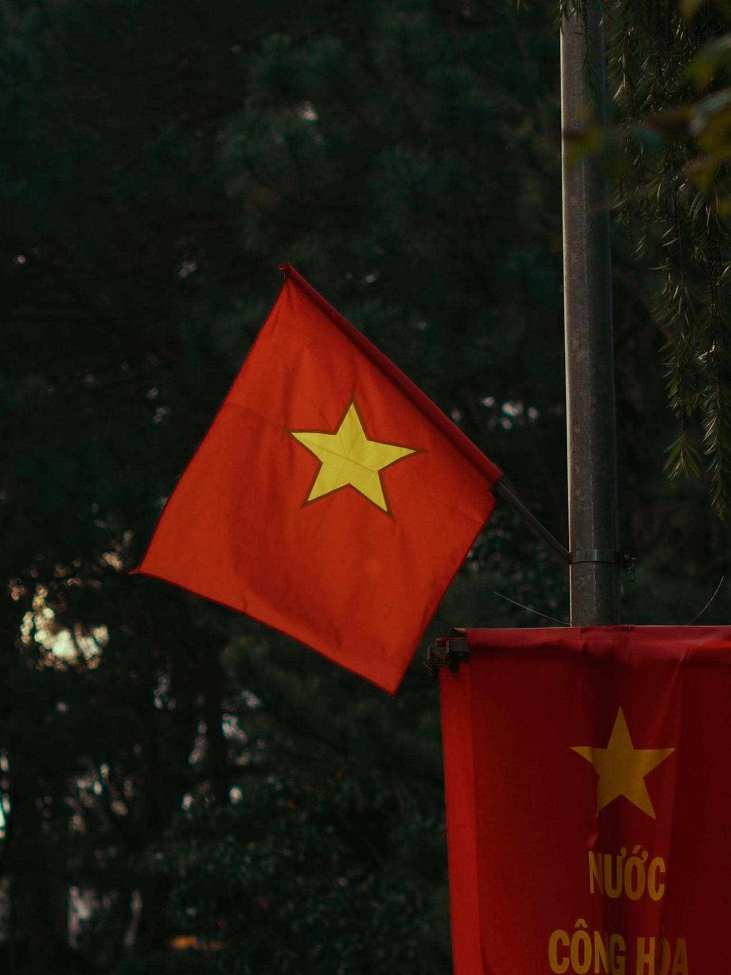 Chúng ta sinh ra dưới lá cờ đỏ sao vàng và lớn lên trong gió xuân. Chỉ cần chúng ta có niềm tin và hy vọng, chúng ta sẽ có tất cả mọi thứ. #vietnam #sony #cinematic #yeuVietNam 