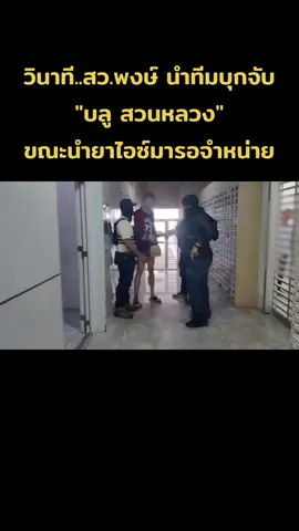 วินาที..สว.พงษ์ นำทีมบุกจับ 