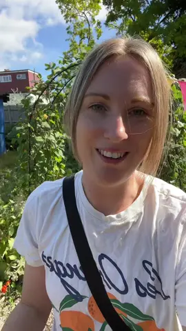 Allotment overwhelm!  #allotment #foryoupage #gardentok #foryou #newallotment #harvesttok #gardeningforbeginners 