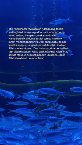 #fypage #foryourpage #foryou #xyzbca #positivevibes #quoteoftheday #quotes #quotesislami 