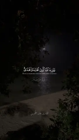 @د. فايز الحميري | Fayiz || حساب القران انستا بالبايو فيه شرح التصميم واسامي جميع الخطوط  #قران #quran